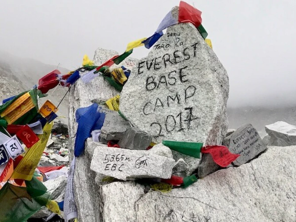 Cultural & Adventure Tours in India everest