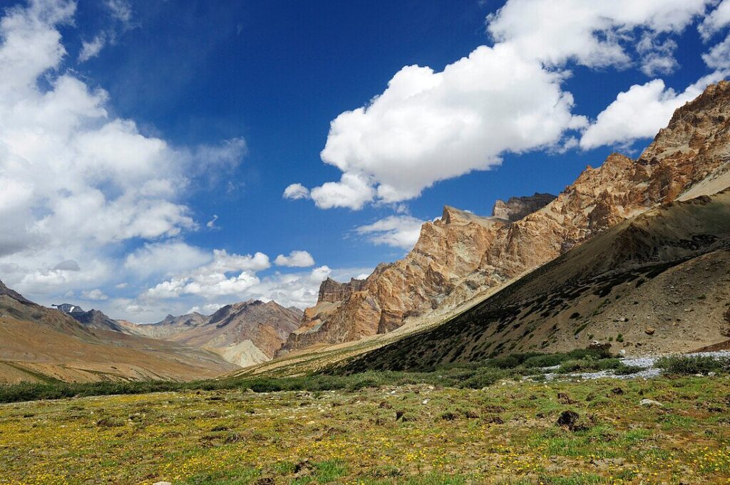 Tailored Cultural & Adventure Tours India la singe